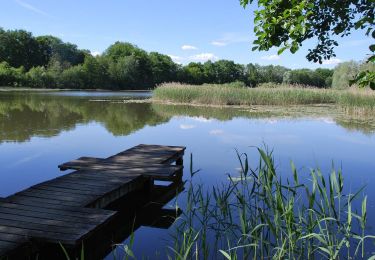 Percorso Bici da strada Alby-sur-Chéran - 13 KM ETANG DE CROSAGNY - Photo