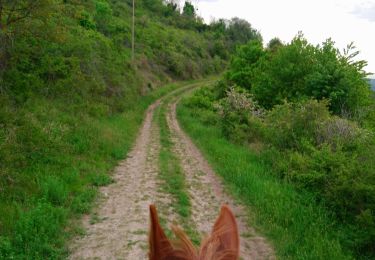 Tour Reiten Clémensat - Clémensat, Lavelle et le tour du puy Lavelle  - Photo