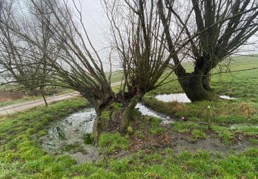 Tour Wandern Gerpinnes - Gougnies par les carrières  - Photo