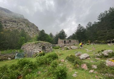 Tour Wandern Évisa - Corse 2023: Evisa - Refuge de Puscaghia - Photo
