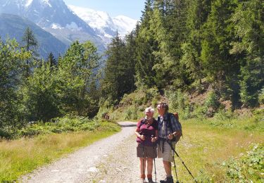 Tour Wandern Chamonix-Mont-Blanc - 20210809 Chamonix Les Tines - Photo
