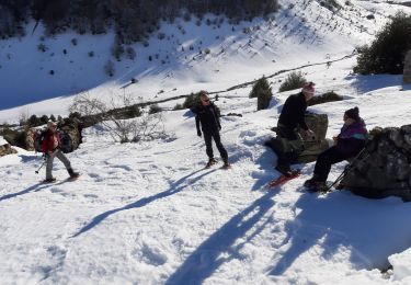Tour Schneeschuhwandern Ancizan - Payolle Marche raquettes - Photo