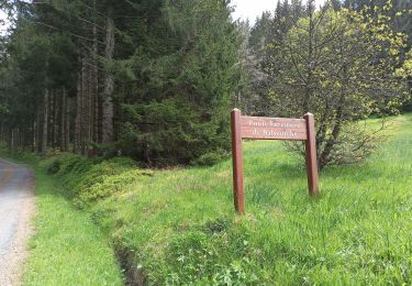 Trail Walking Xonrupt-Longemer - 18-05-23 abri roche Boulard, col des Harengs Marinés, route forestière du chemin stratégique - Photo