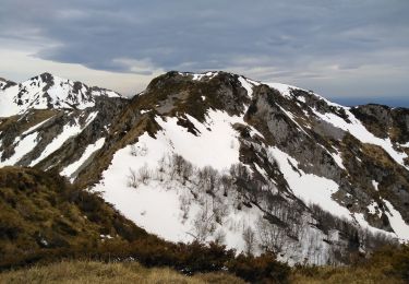 Trail Walking Salles - I soum d'andorre - Photo