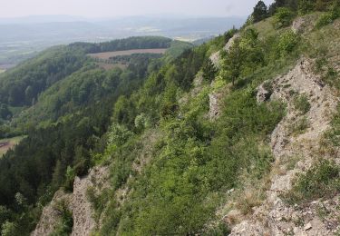 Trail On foot Treffurt - Adolfsburgstieg - Photo