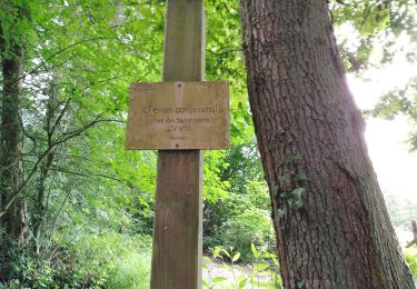 Tour Wandern Esneux - au fil de l'eau Plainevaux  - Photo