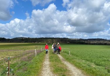 Trail Walking Somme-Leuze - Heure - Photo