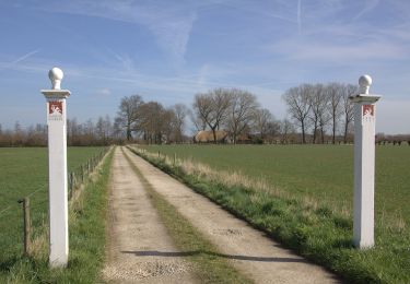 Trail On foot Houten - Rietplas & Schonauwen - Photo