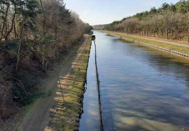 Tocht Stappen Lommel - Sahara Lommel - Photo