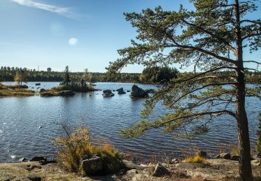 Trail On foot  - Bielkeleden - Photo