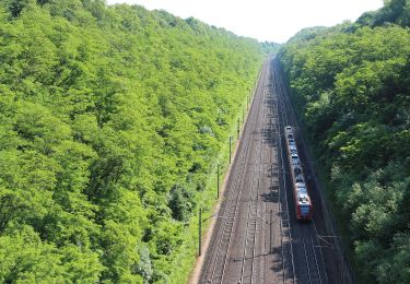 Randonnée A pied Frechen - Kerpen Rundweg K6 - Photo