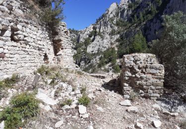 Trail Walking Ollioules - Grottes St Martin 1et 2 + Christianisée - Photo