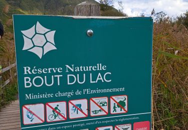 Trail Walking Doussard - Réserve du bout du lac - Photo
