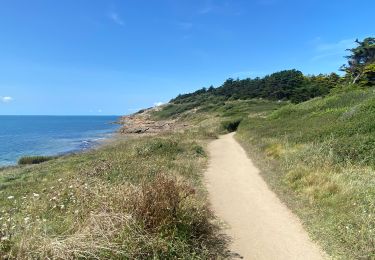 Tocht Noords wandelen Sarzeau - PENVINS LE POISON ROUGE ST GILDAS - Photo