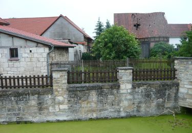 Percorso A piedi Sondershausen - Grünes Quadrat - Photo