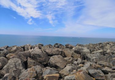 Tocht Stappen L'Épine - Noirmoutier  - Photo