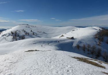 Tocht Sneeuwschoenen Moulinet - authion - Photo