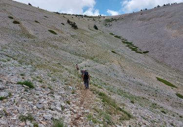 Percorso Marcia Bédoin - du chalet renard au sommet du ventoux - Photo