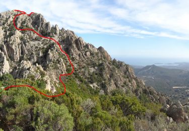 Trail Walking Conca - Punta d'Ortu 2023 - Photo