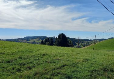 Excursión Senderismo Septmoncel les Molunes - GTJ 8 Lajoux, Le Manon / La Pesse - Photo