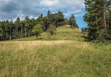 Trail On foot Bad Staffelstein - Hasenweg (Romansthal) - Photo