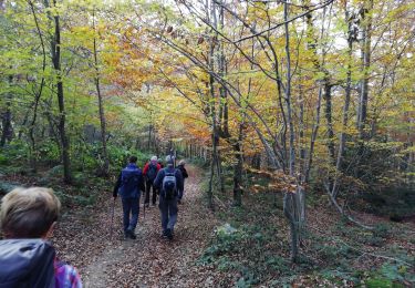 Trail Walking Châtelus - 42-Chatelus-St-Christo-19km-590m-dec23 - Photo
