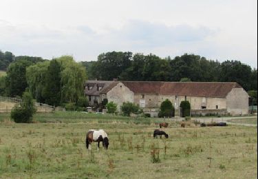 Tour Wandern Chierry - Retour depuis la ferme de la Tueterie à Château pour le 400ème - Photo