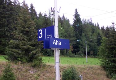 Randonnée A pied Schluchsee - Aha - Altglashütten - Photo