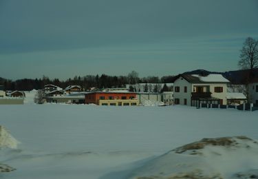 Tocht Te voet Hof bei Salzburg - AT-98 - Photo