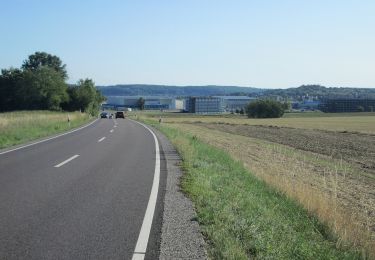 Tour Zu Fuß Mandelbachtal - Heckendalheimer Höhen- und Klammenweg - Photo