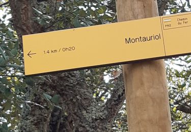 Trail Walking Montauriol - suite - Photo