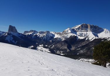 Trail Snowshoes Gresse-en-Vercors - Les Rochers du Baconnet - Photo