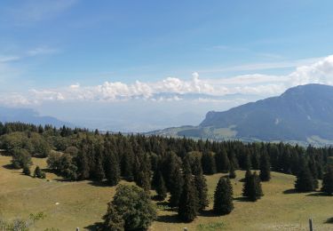 Excursión Senderismo Lans-en-Vercors - pas de bellecombe 2020 - Photo