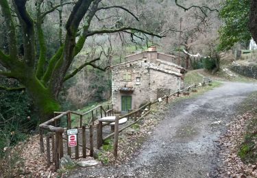 Trail On foot Sesto Fiorentino - Sentiero CAI 1 - Sez. Sesto F.no - Photo