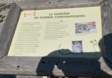Excursión Senderismo Tréminis - Triève Pointe Feuillette V2 - Photo