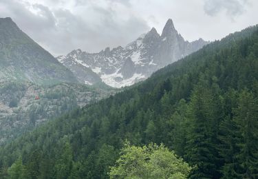 Randonnée Marche Chamonix-Mont-Blanc - Chamonix : Les Bois - le chapeau  - Photo