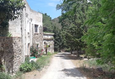 Trail Walking Portbou - Tras el ferocaril 2 Port bou - Photo