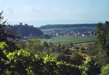 Tocht Te voet Eppingen - KR1 Weinwanderung am Heuchelberg - Photo
