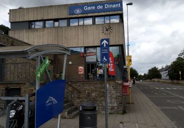 Tocht Stappen Hastière - hastiere_Dinant par chemin des bateliers - Photo