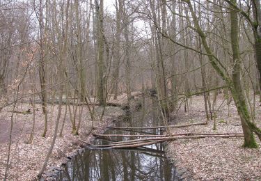 Percorso A piedi Sconosciuto - Grüngürtelwanderweg - Photo