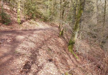 Tocht Stappen Bouillon - bouillon depart camping moulin de la falize - Photo