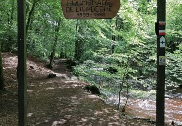 Tour Wandern Jalhay - Promenade de la Hoëgne   - Photo