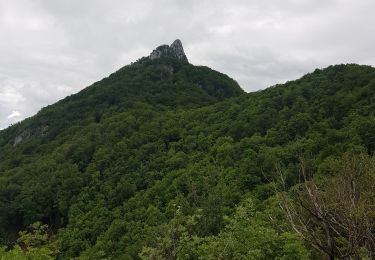 Tocht Stappen Saint-Paul - dent du chat depart antenne - Photo