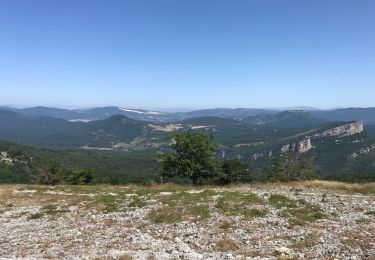 Tocht Stappen Bernedo - La falaise de la Muela- San Roman de Campezo - Photo