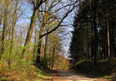 Tour Wandern Longpont - en forêt de Retz_77_Longpont_Puiseux en Retz_AR - Photo