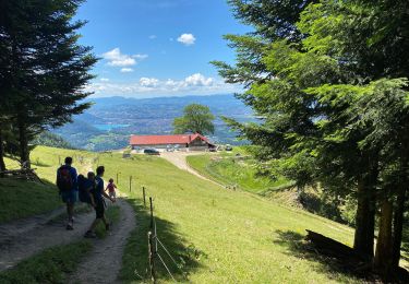 Tour Wandern Dingy-Saint-Clair - Caler Chappuis - Photo