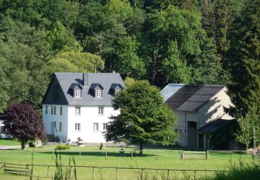 Randonnée A pied Gehlweiler - Traumschleife Heimat - Photo