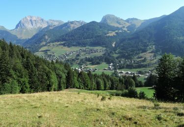 Tour Wandern La Chapelle-d'Abondance - GR5 - 2018 - IBP 107 - Etape 63 - Photo