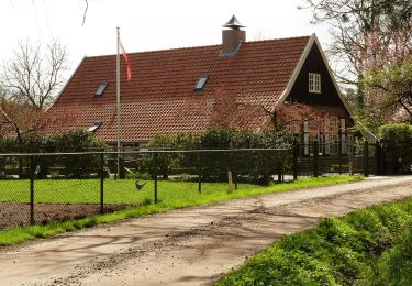 Tocht Te voet Hof van Twente - Umfassungsweg - Photo