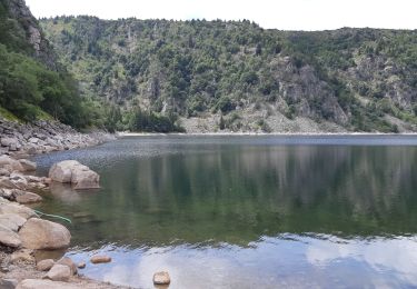 Randonnée Marche Orbey - Tour de lac Noir et du Lac Blanc  - Photo